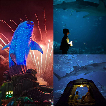 ҹ���麣��¡����ݣ�1350��2����Ʊס�����