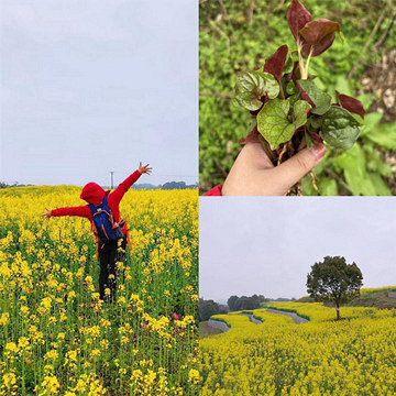 կɽƺ�ͻ���Ұ7KMС���ߣ�5��С���Ѷ��ɳ�