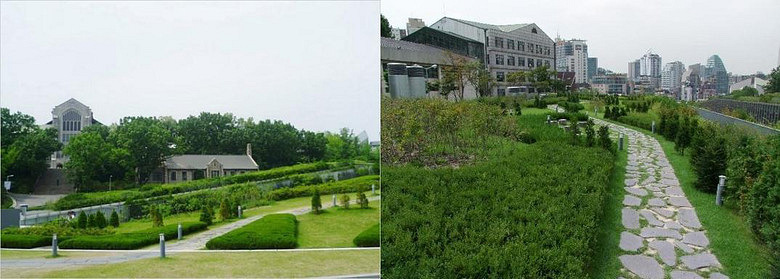 探寻韩国书香门第之旅-感受非一般的韩国大学-  