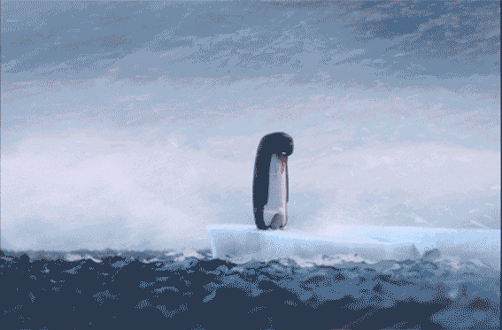 免费观影逗鸟外传萌宝满天飞爆笑呆萌惊险刺激送票咯