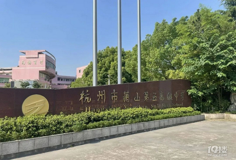 象棋培训:智慧与策略的艺术