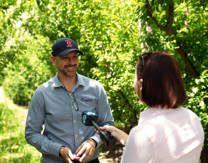 澳洲女王李来啦!特惠28.3元/斤,果味浓郁,清甜爆汁-美食俱乐部-杭州19