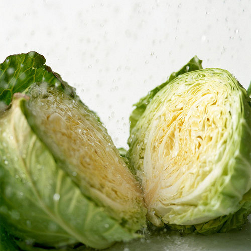 兰州包心菜750g