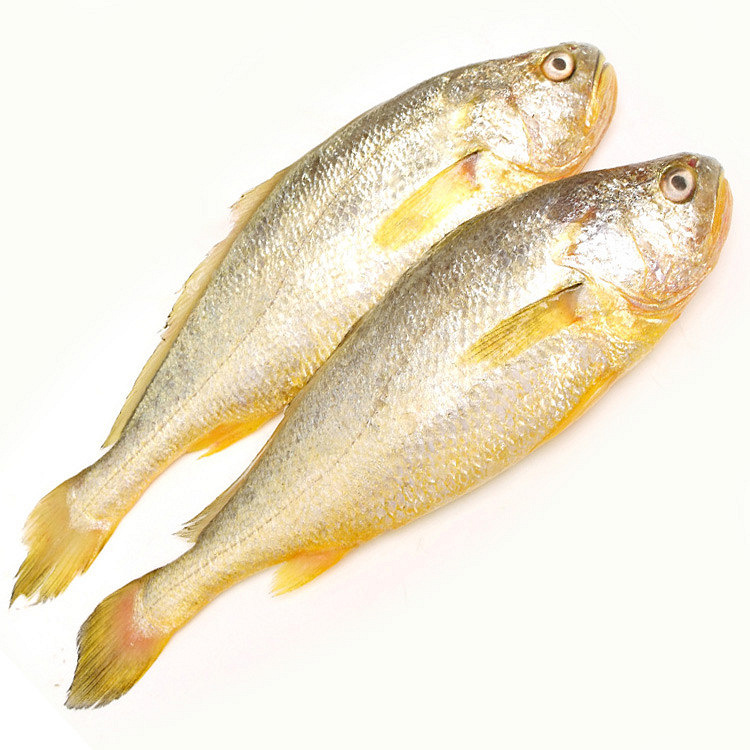 冰鲜大黄鱼 400g