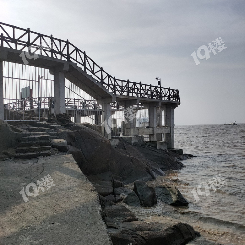 乍浦网红桥图片