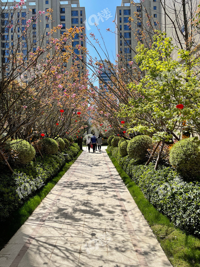 小房奴亲身体验禾锦雅苑游园式交付精心打造的架空层太惊艳了