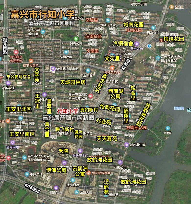 2025年嘉兴市本级学区划分出炉!