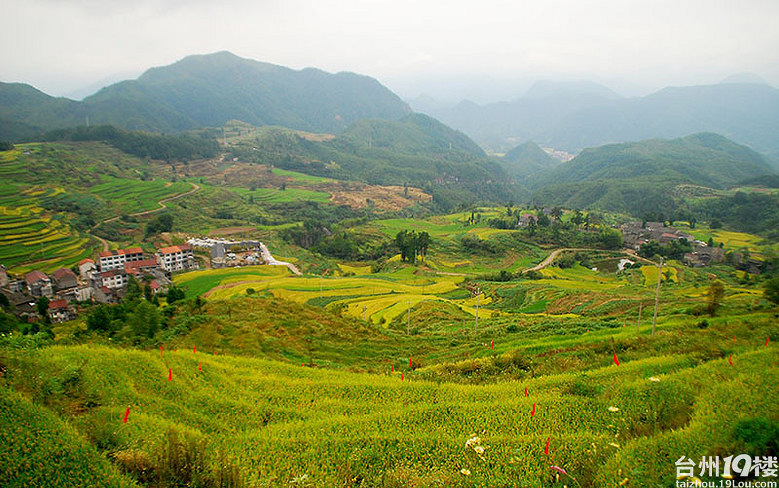 國慶仙居楊豐山賞梯田