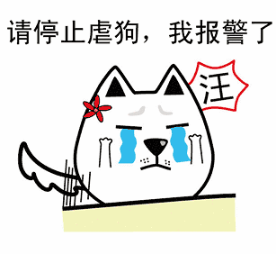 情人节单身go精品八分钟约会不做单身狗