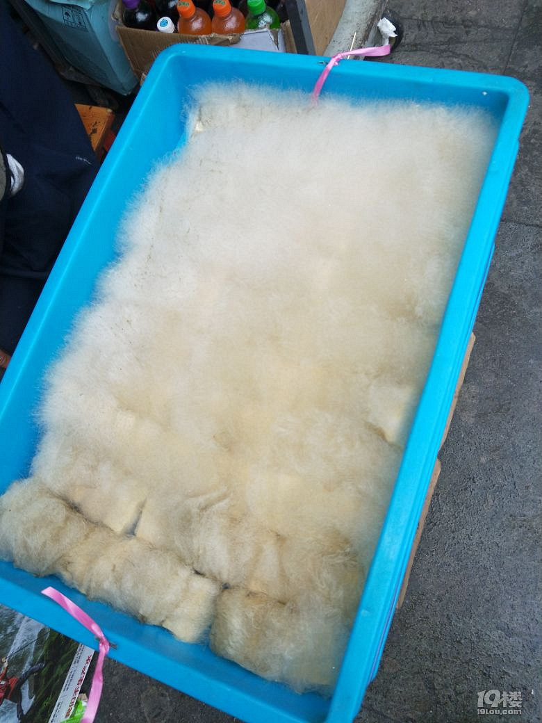 【狗年春节随手拍】+徽州古城历史的回忆