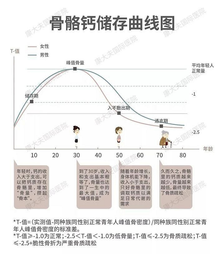 时达到一生中的最高值（峰值骨量），此后每年以0.5%的速度丢失（如图）。