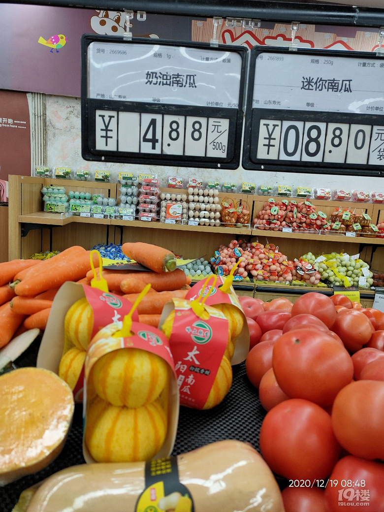 【随手拍】迷你南瓜，可爱有点奢侈