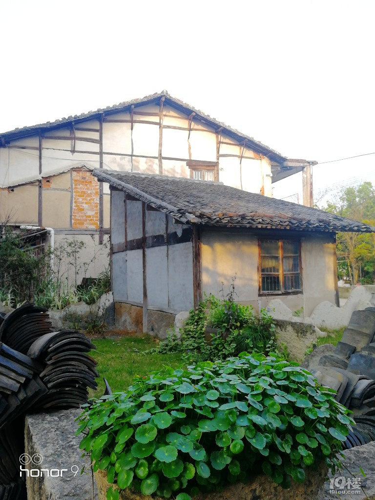 春泽园-摄影部落-台州19楼