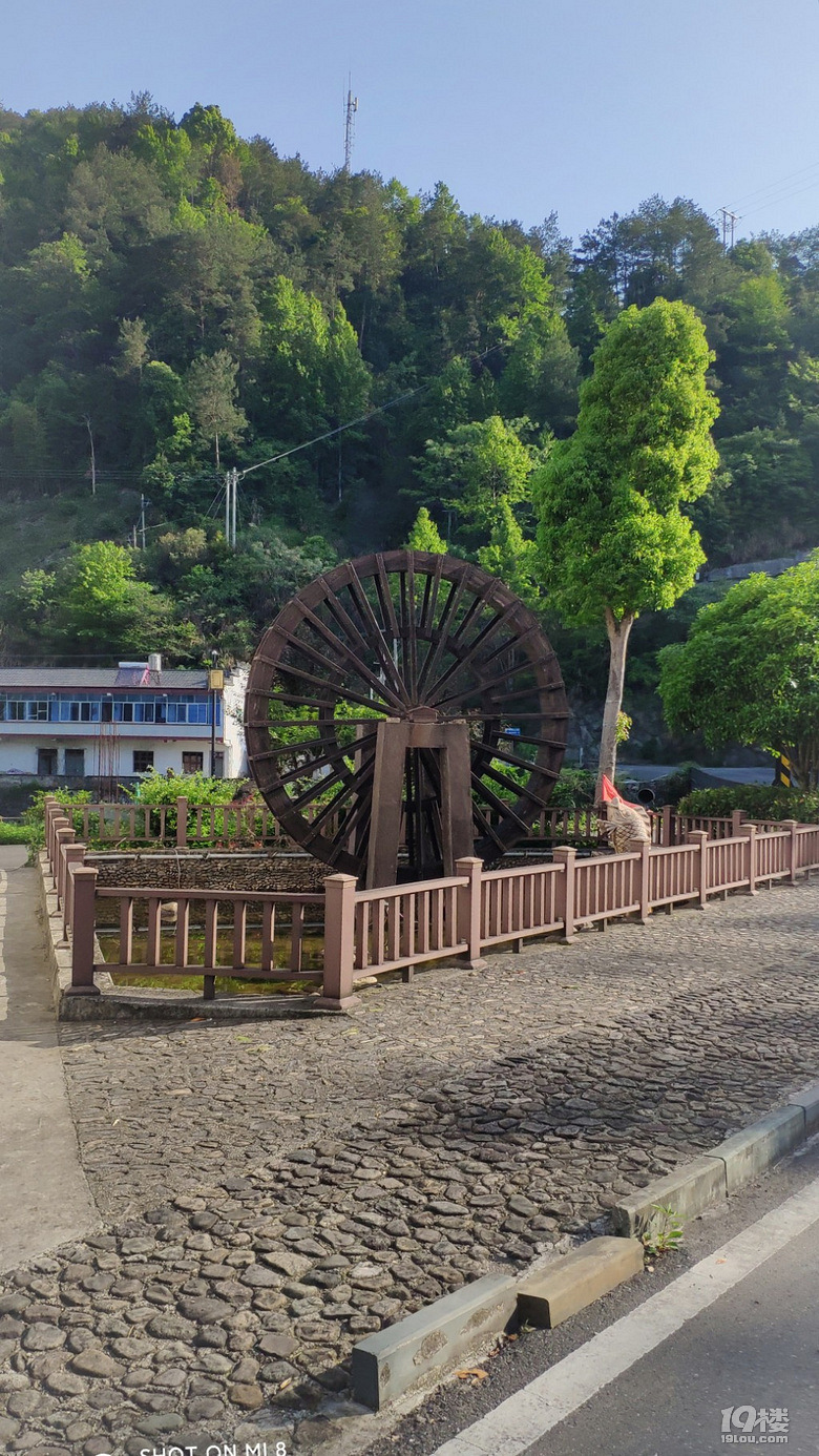 磐安高姥山浙中杜鹃花谷骑行记人间五月天高姥看杜鹃