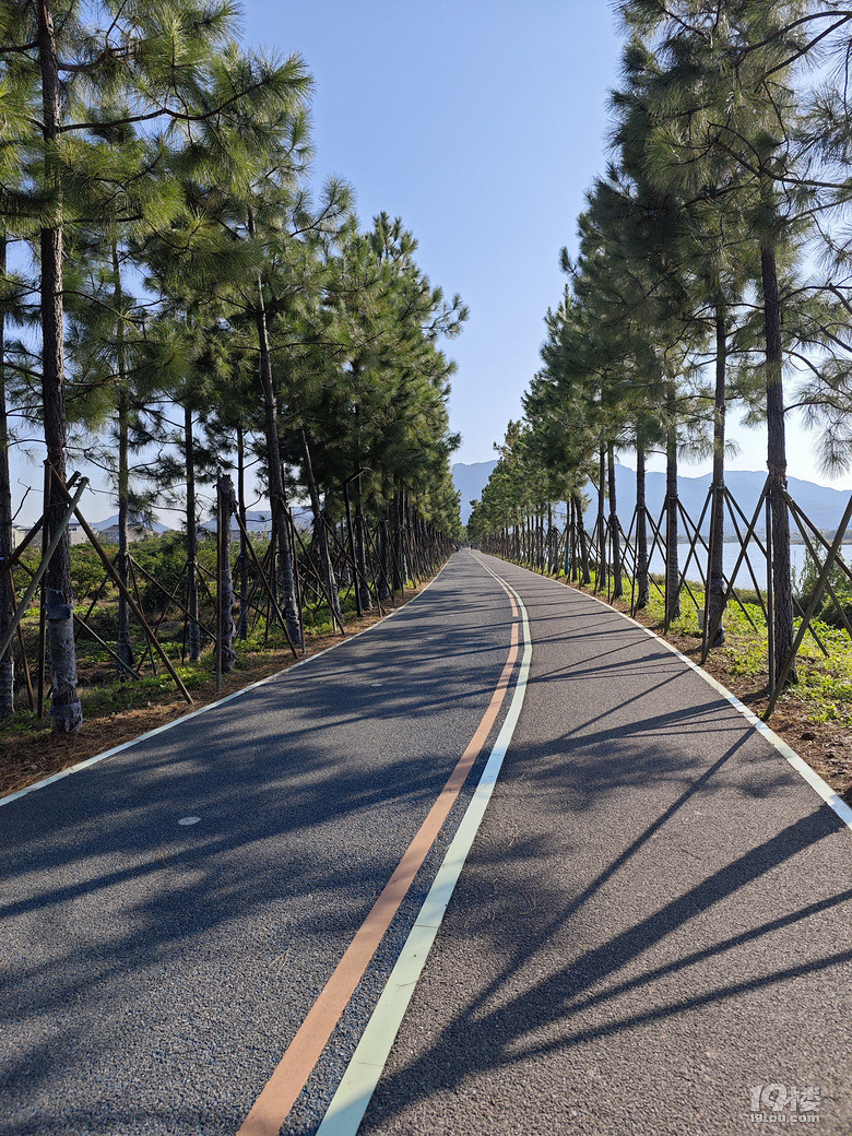 摄于永宁江绿道东段