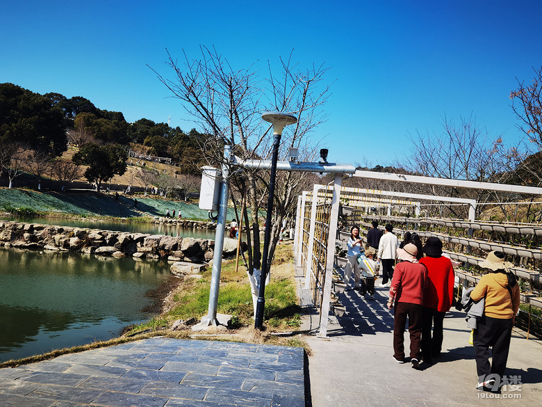 本周末温岭城南岭后花开景区门票免费