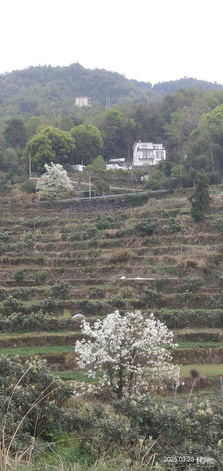 西部山区,景色迷
