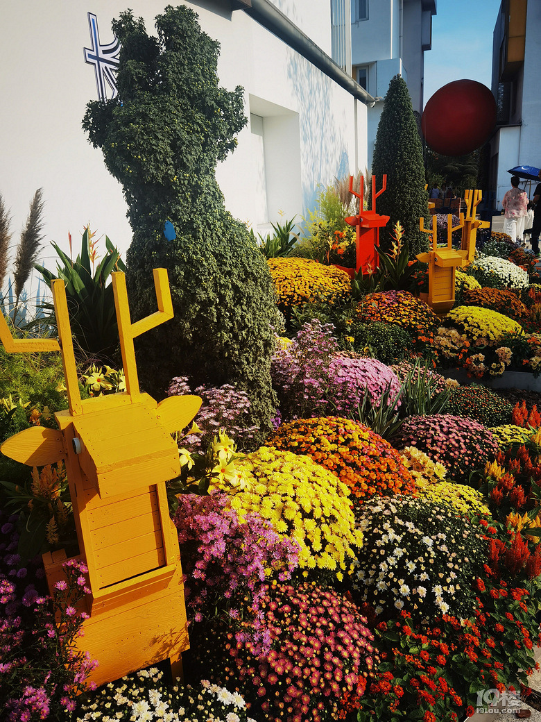 2025年嘉兴海宁长安镇虹越花卉金秋菊花展