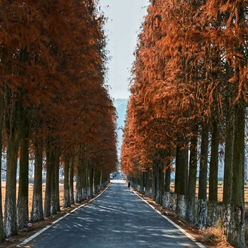 �ٺ�С֥�Ķ���ů��