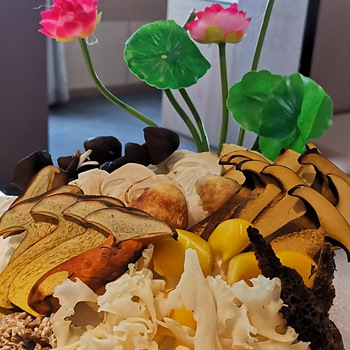 �ͳ����ԣ���ѡ���Ǿ������